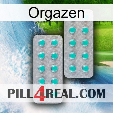 Orgazen 29